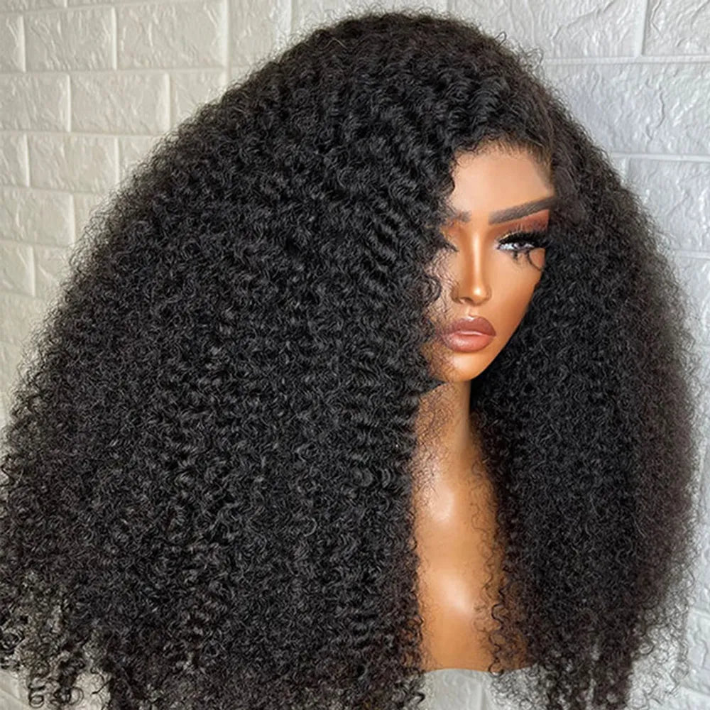 300% Density Kinky Curly Human Hair Wig For Women Raw Indian Hair 13X4 Hd Transparent Lace Frontal Wig 12-28 Inch Natural Color
